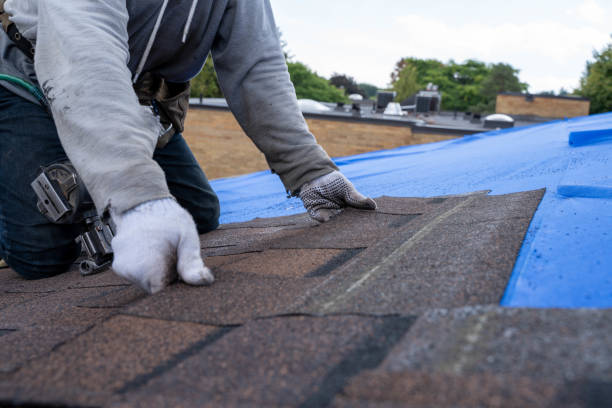 Best New Roof Installation  in Jackson, OH