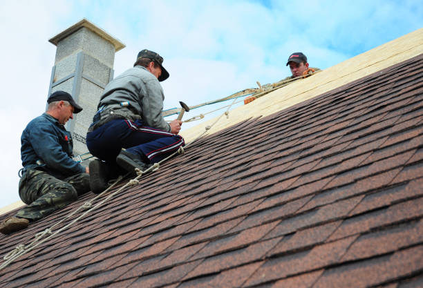 Best Shingle Roofing Installation  in Jackson, OH